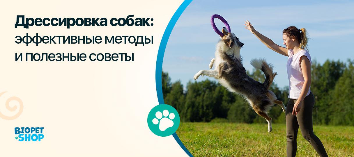 Воспитание и дресировка собак