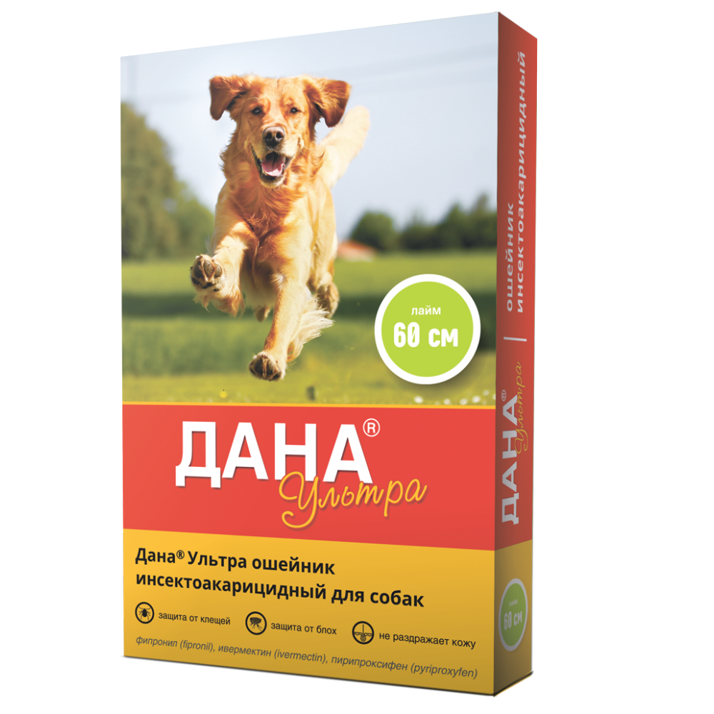 Dana Ultra İt üçün birə və gənəyə qarşı xalta, 60 sm (Laym)