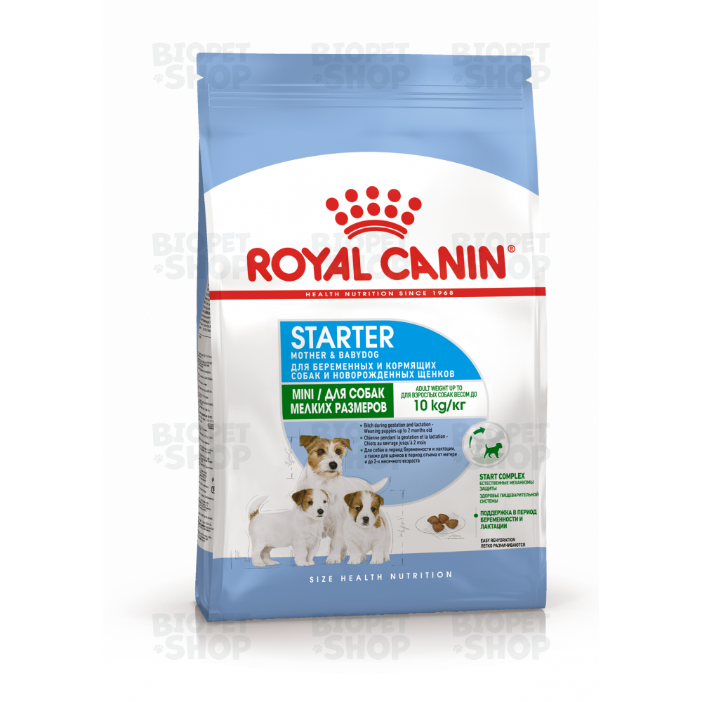Royal Canin Mini Starter Mother & Babydog Сухой корм для беременных и кормящих собак и щенков мелких пород (кг)