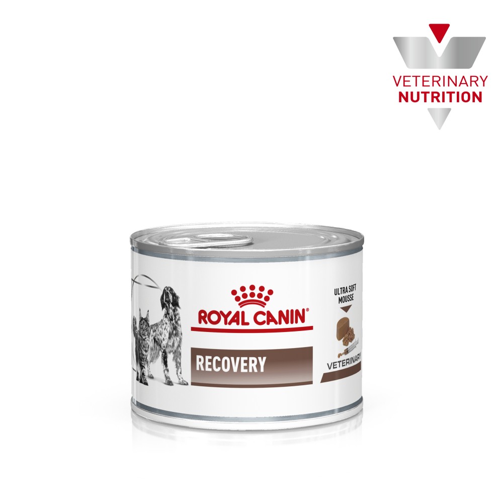 Royal Canin Recovery Ветеринарная диета для собак и кошек в период выздоровления, консервированный корм, 195 г