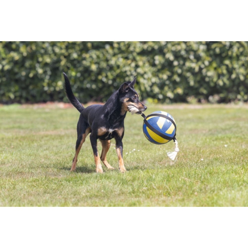 Beeztees Karlie it üçün voleybol topu, kəndirli, 48x20,4x20,4 sm