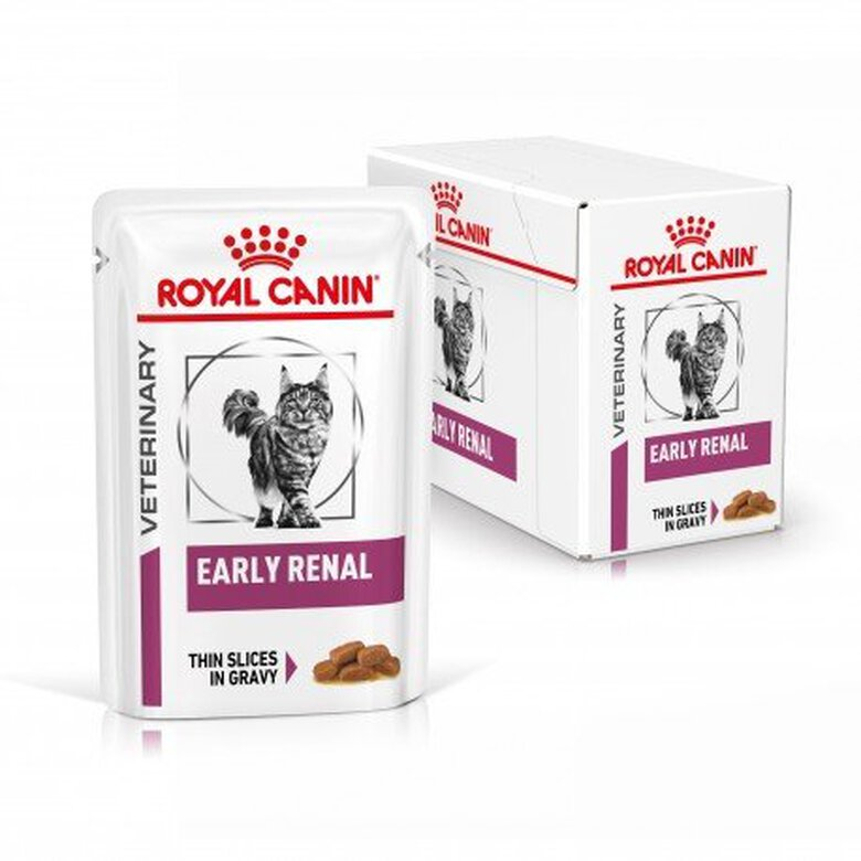 Royal Canin Renal Pişik üçün xroniki böyrək çatışmazlığında baytarlıq pəhrizi, mal əti ilə nəm yem, 85 q
