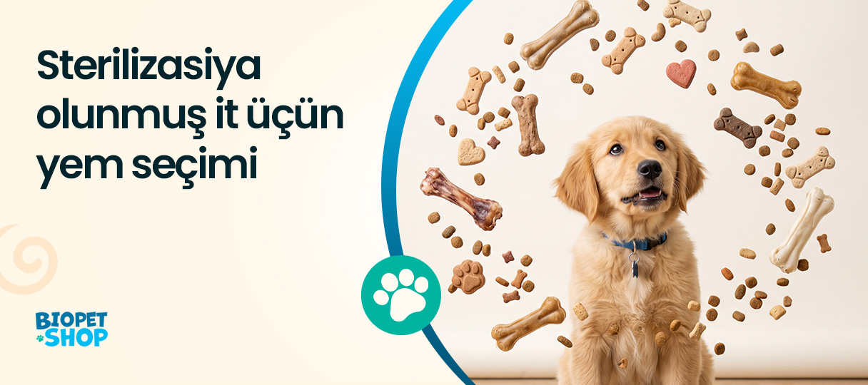 Sterilizasiya olunmuş it üçün yem seçimi