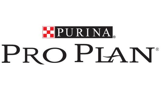 Pro Plan