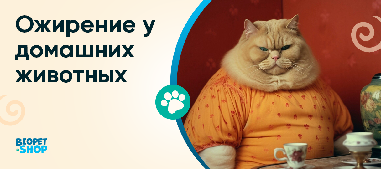 Ожирение у домашних животных: причины и последствия