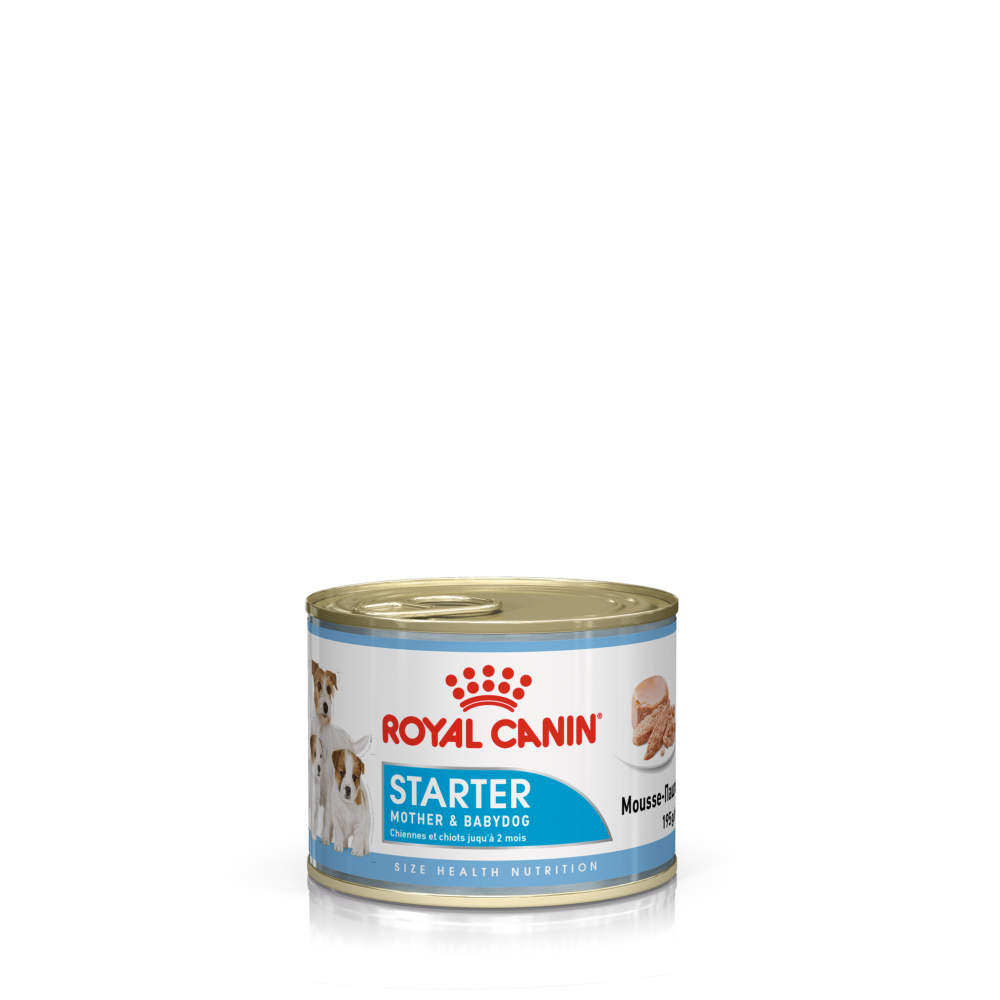 Royal Canin Mini Starter Mother & Babydog Kiçik cins hamilə və südverən it və bala it üçün konservləşdirilmiş yem, 195 q